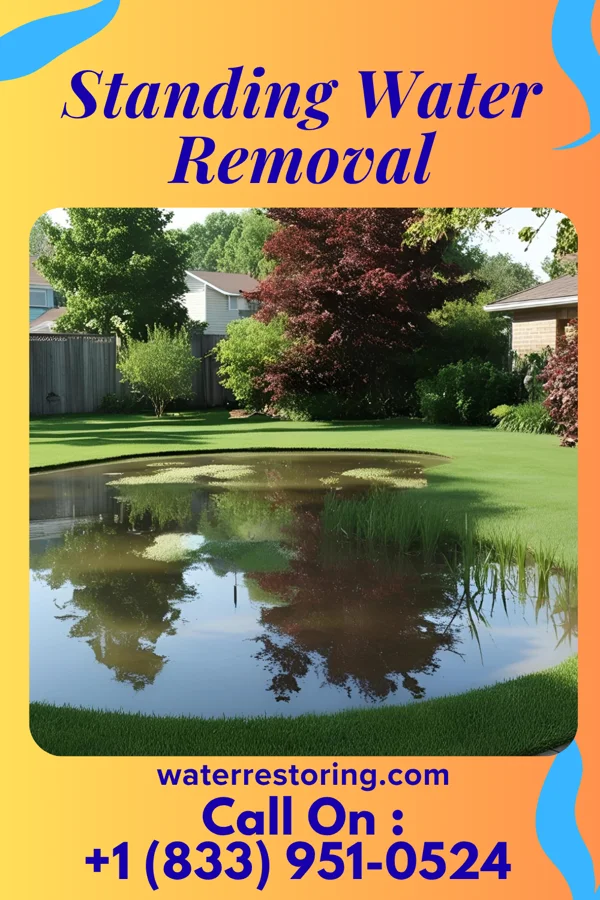 Standing Water Removal in Pontotoc, OK
